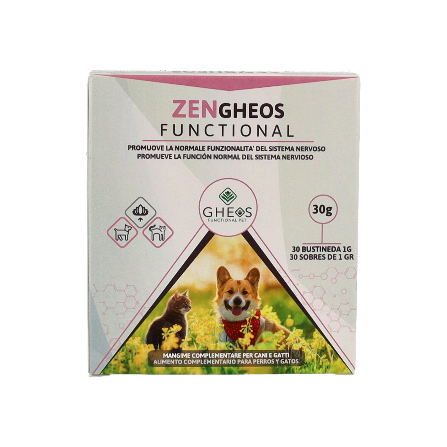 ZEN GHEOS FUNCTIONAL 30BUST