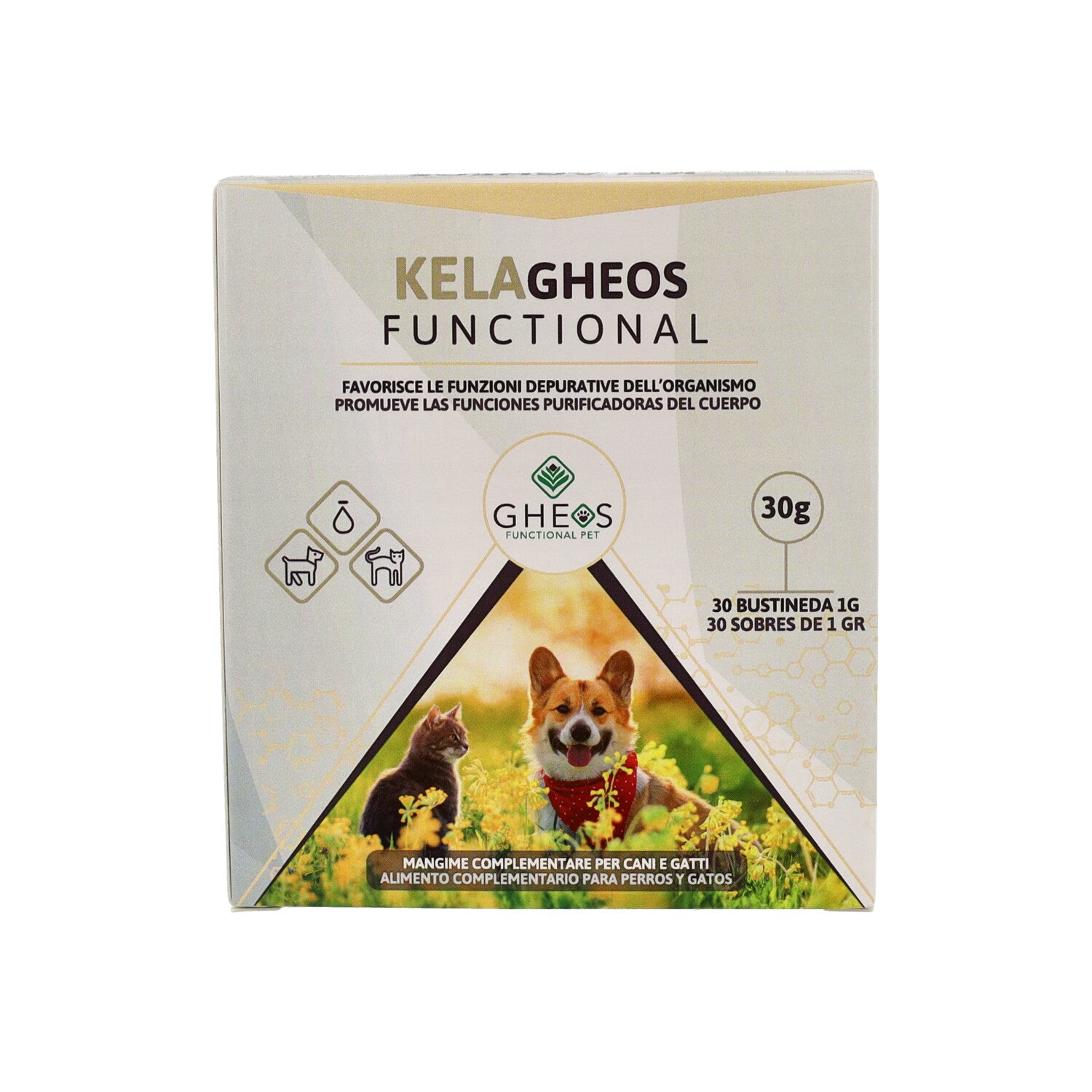 KELA GHEOS FUNCTIONAL 30BUST