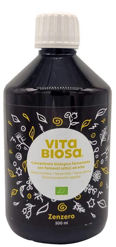 VITABIOSA ZENZERO 500ML