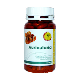 AURICULARIA LINEA BASIC CPR