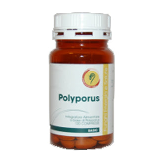 POLYPORUS LINEA BASIC CPR