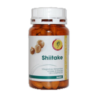 SHIITAKE LINEA BASIC CPR