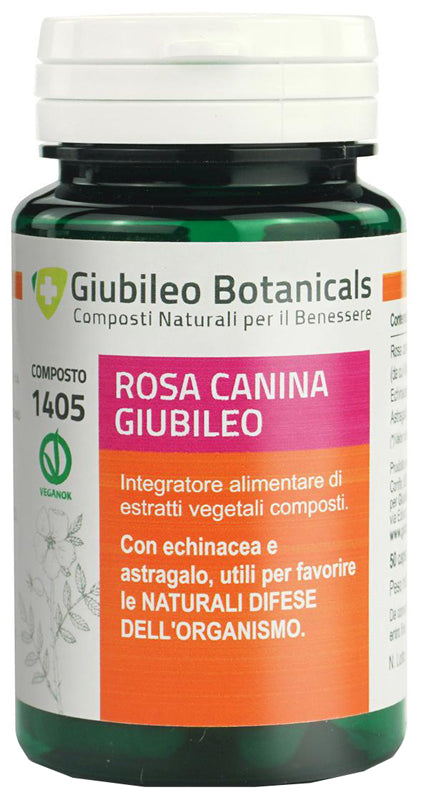 ROSA CANINA GIUBILEO 50CPS