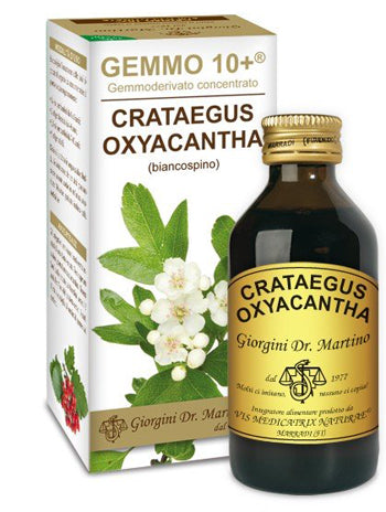 BIANCOSPINO ANALCOLICO GEMMO10+ 100ML