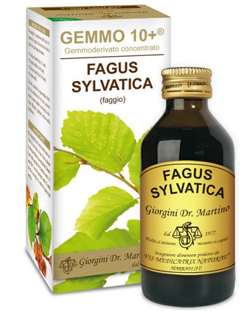 FAGGIO ANALCOLICO GEMMO10+ 100ML
