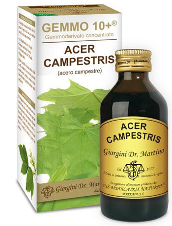 ACERO CAMPESTRIS ANALCOLICO GEMMODERIVATO 10+ 100ML