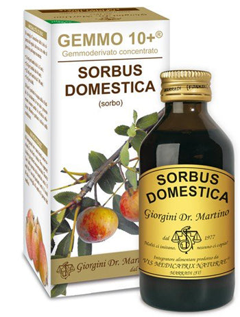 SORBO LIQUIDO ANALCOLICO GEMMO10+ 100ML