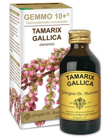 TAMERICE LIQUIDO ANALCOLICO GEMMO10+ 100ML