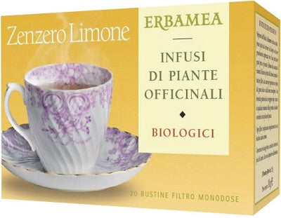ZENZERO LIMONE 20 FILTRI