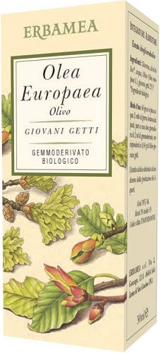 OLEA EUROPEA OLIVO 50ML