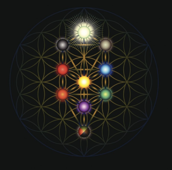 MALKUT GOCCE - 5 ML