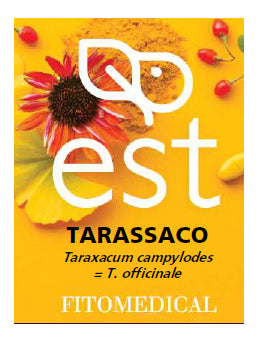 TARASSACO EST 60 TAV