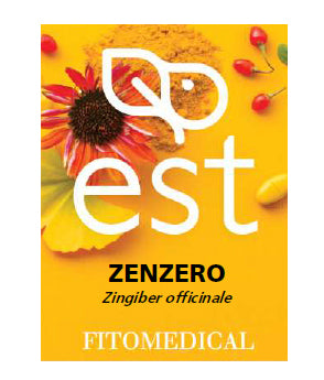 ZENZERO EST 60 TAVOLETTE