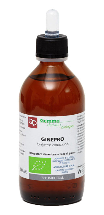 GINEPRO MG 200 ML