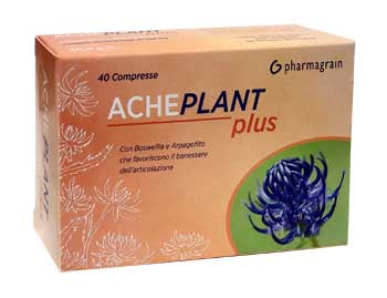 ACHEPLANT PLUS 40CPR