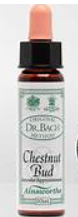 CHESTNUT BUD BIO CROMO - 10ML