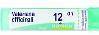 VALERIANA OFF - 1 LT