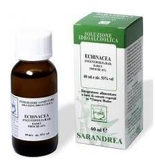 ECHINACEA ANG -  1 LT