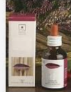 CASTANEA VESCA  MG - 50ML