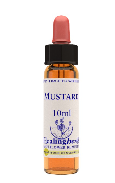 MUSTARD GOCCE FIORE CALIFORNIANO 7,4ML
