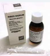 JUNIPERUS COMMUNIS MACERATO GLICERICO GEMME