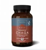 TERRANOVA CHAGA 50 CPS