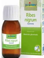 RIBES NIGRUM FGL - 1000 ML TM