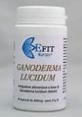 REISHI+ETHICS GANODERMA 60 CPS