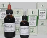 MENTA BIO MI GTT 50ML