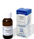 GINSENG 100ML TM