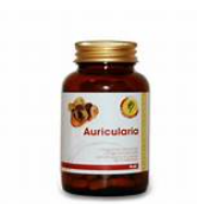 AURICULARIA ETHICS - 60 CPS