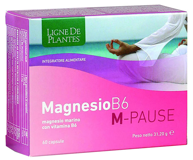 MAGNESIO B6 M-PAUSE 60CPS