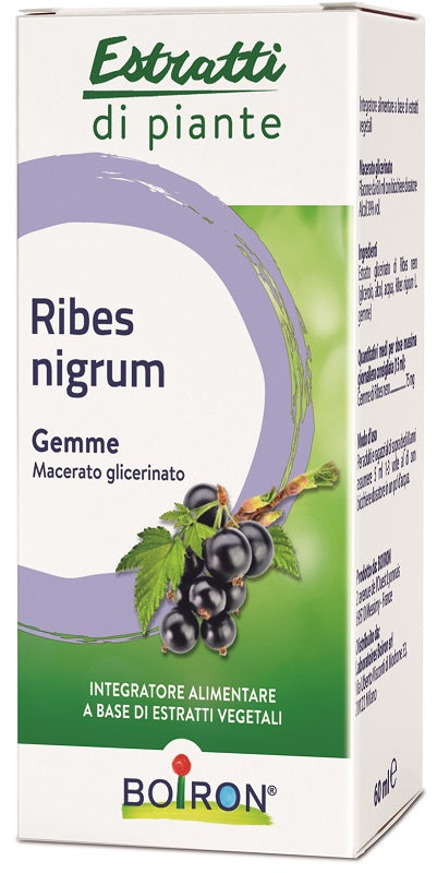RIBES NIGRUM MG 60ML