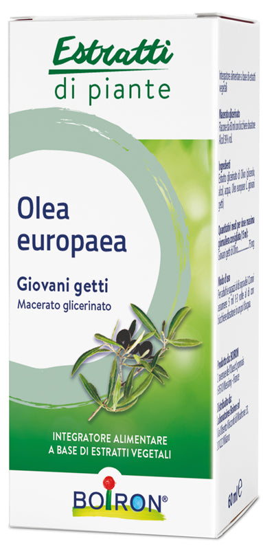 OLEA EUROPAEA MG 60ML INT