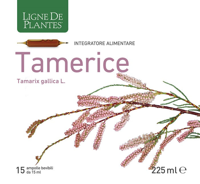 TAMERICE 15AMP 15ML