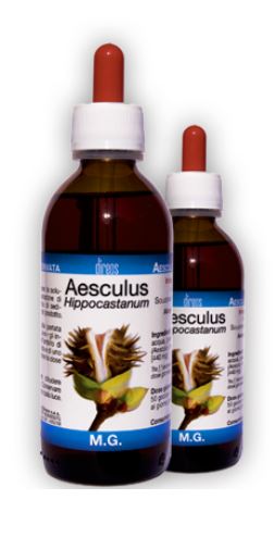 AESCULUS HIPPOCAST MG 150ML