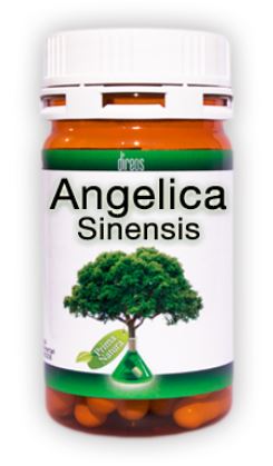 ANGELICA SINENSIS 60 CPS