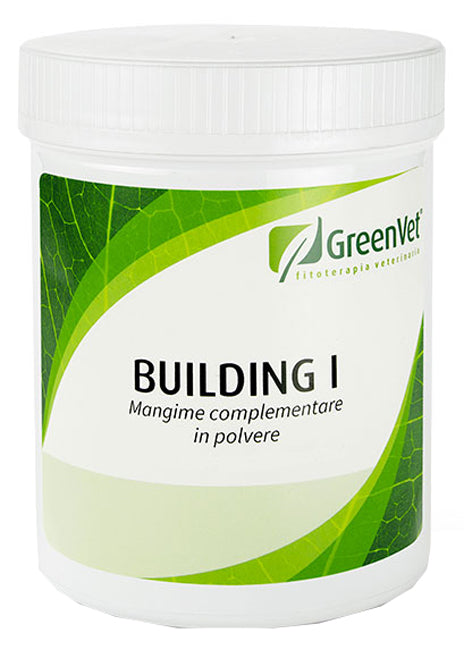 BUILDING I 50G