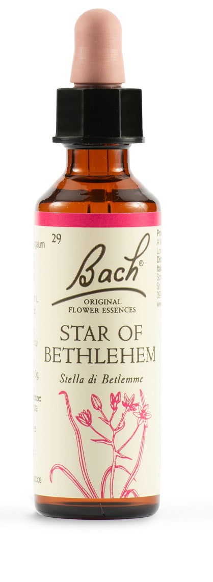 STAR OF BETHLEMME ORIG 20ML