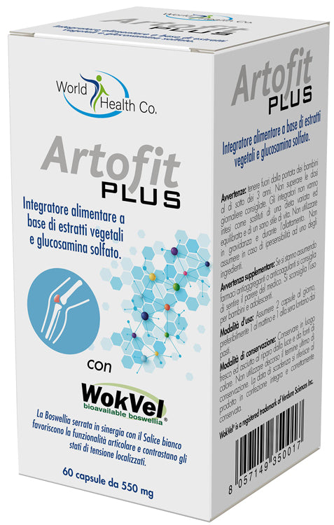 ARTOFIT PLUS