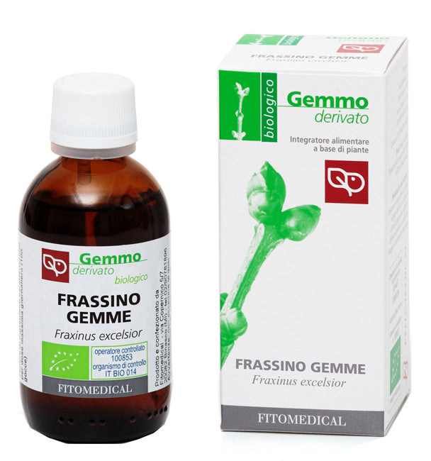 FRASSINO GEMME MG