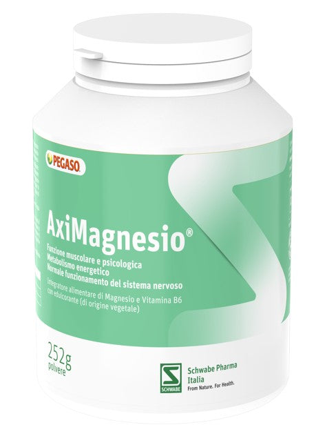 AXIMAGNESIO POLVERE - 252 G