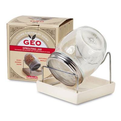 GERMOGLIATORE GEO VASO VETRO