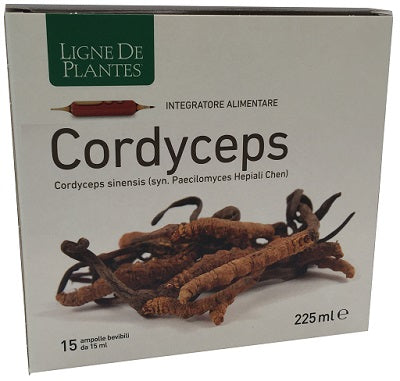 CORDYCEPS 15AB 15 ML