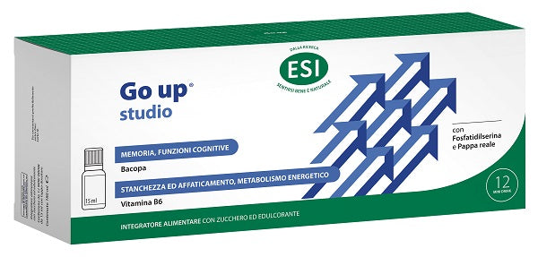 ESI GO UP STUDIO 12MINI