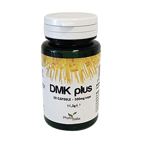 DMK PLUS