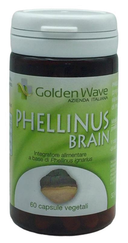 PHELLINUS BRAIN 60 CPS VEGETALI