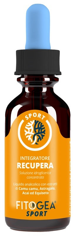 FITOGEA RECUPERA 100ML