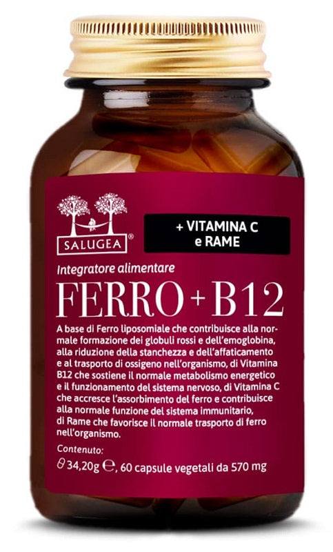 SALUGEA FERRO+B12 60CPS