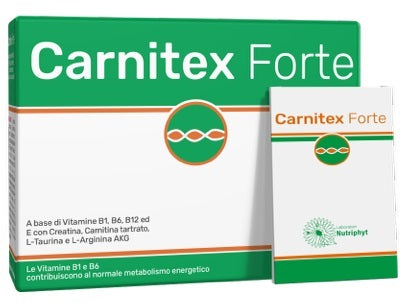 CARNITEX FORTE 14 BUSTE